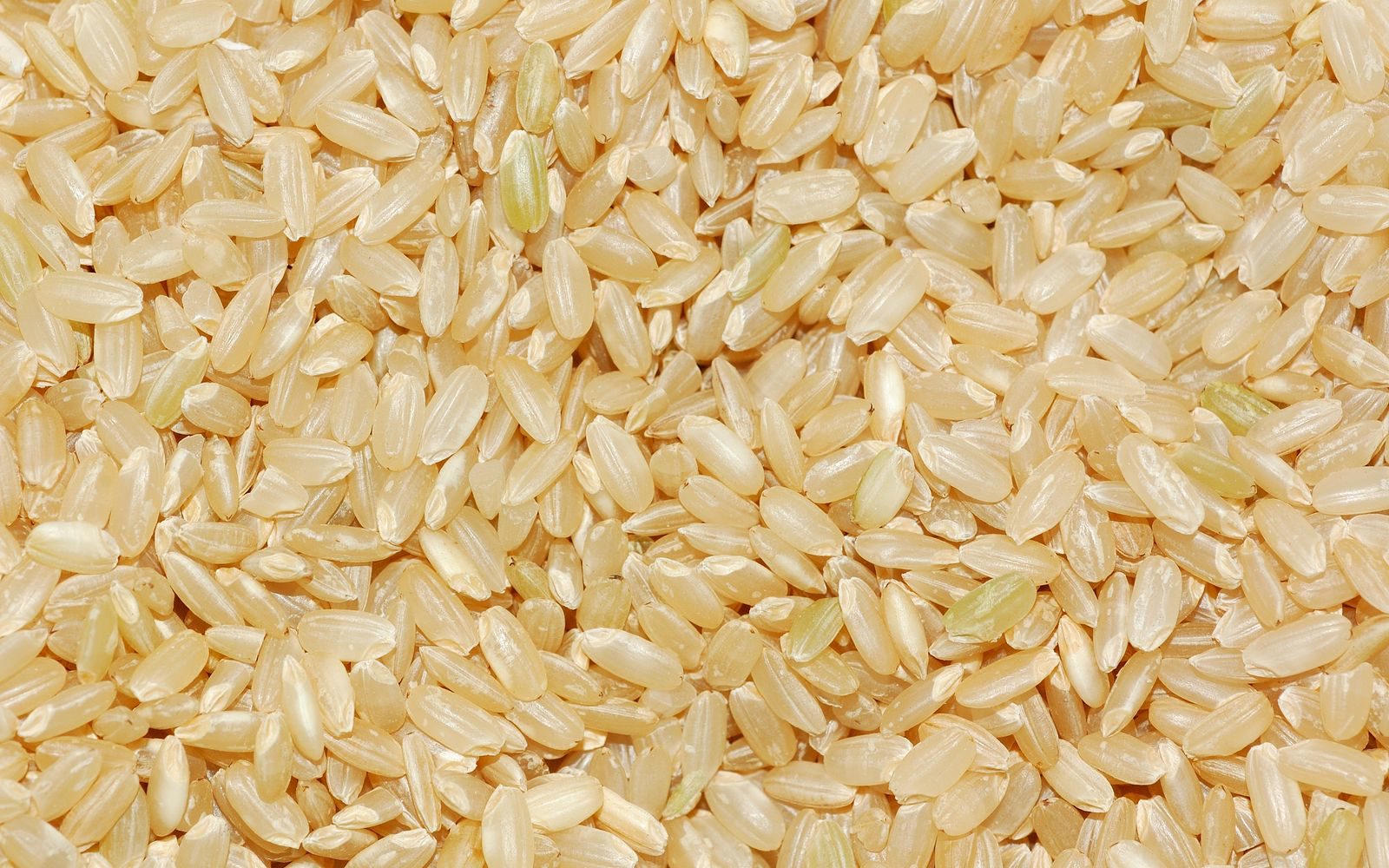 Pirinç Proteininde Ağır Metal Kontrolü: Satın Alırken Nelere Bakılmalı?